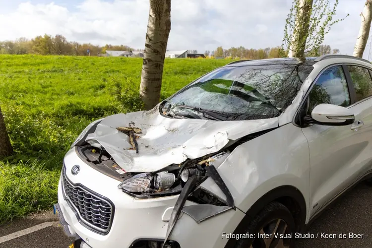 Deel boom valt op auto in Velsen-Zuid