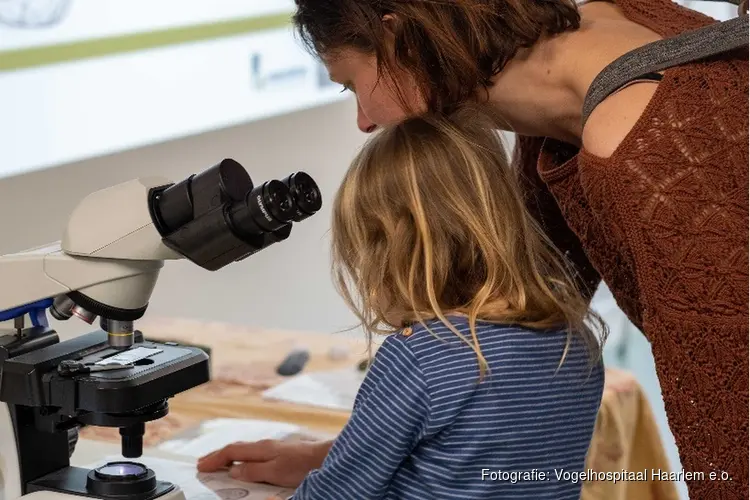 Kinderactiviteiten bij het Vogelhospitaal