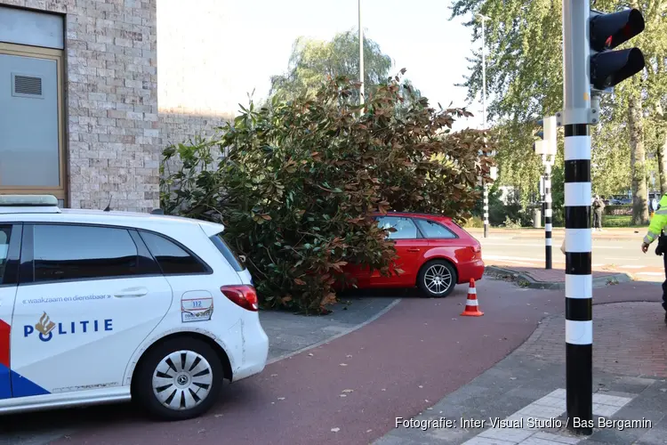 Auto rijdt tegen elektriciteitskast en boom in Beverwijk