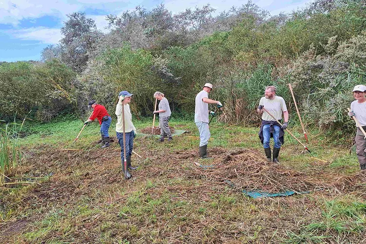 Aan de slag voor de padden op de Natuurwerkdag!