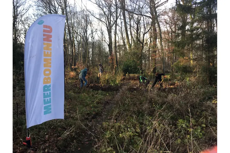 Zaterdag weer in Park Overbos bomen redden, warme chocolademelk als afsluiter