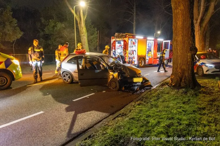 Twee gewonden bij ongeluk in Aerdenhout