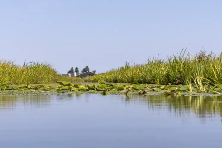 Agrariërs in polder werken samen aan schoner water